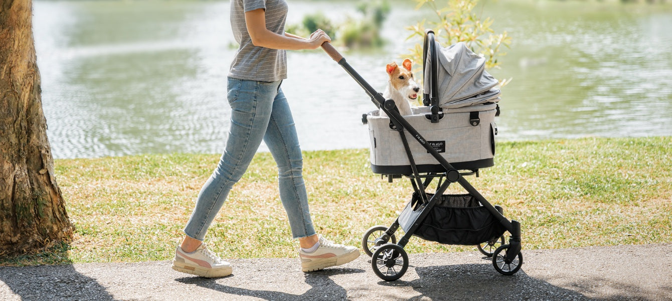 Top 6 situaties waarin een dierenbuggy ideaal is