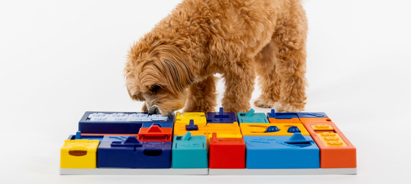 Boost je assortiment met Pawzler