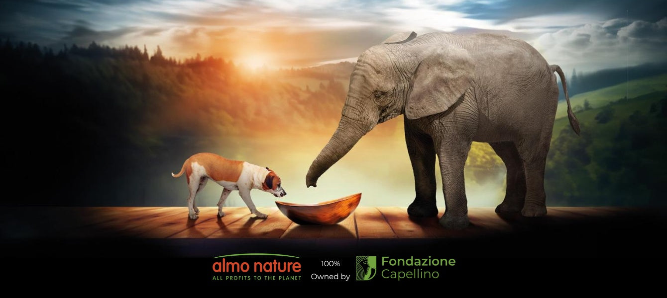 Almo Nature: Marktleider met een Missie