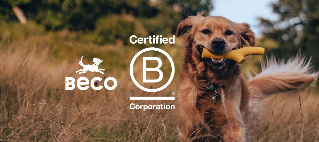 De kracht van B-Corps in de huisdierenbranche
