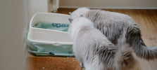 Inspelen op groei in de clean-up categorie met Beco