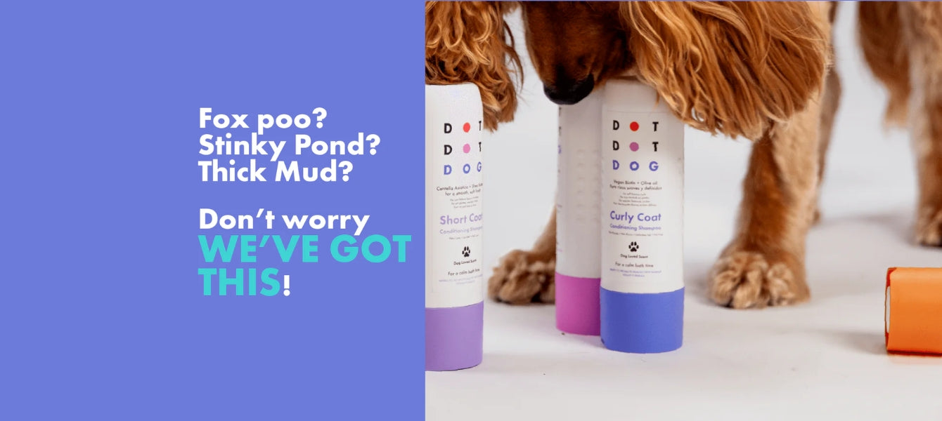 Premium Shampoos voor elke Hondenvacht