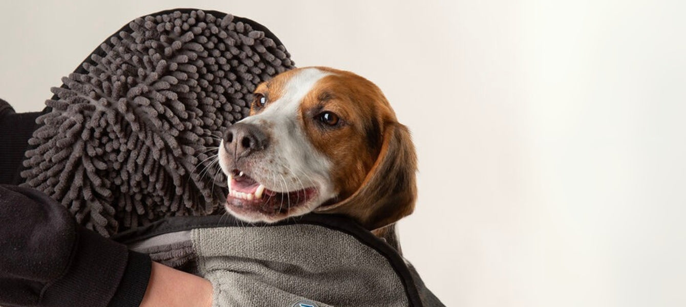 Scruffs Noodle: Praktische droogoplossingen voor hond en baas