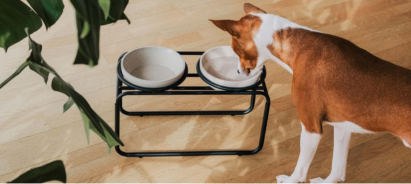 Stijlvol dineren met District 70 - Ontdek het Dine concept