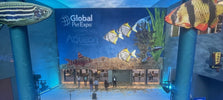Global Pet Expo 2025 - Innovatie, Inspiratie en Gekkigheid!