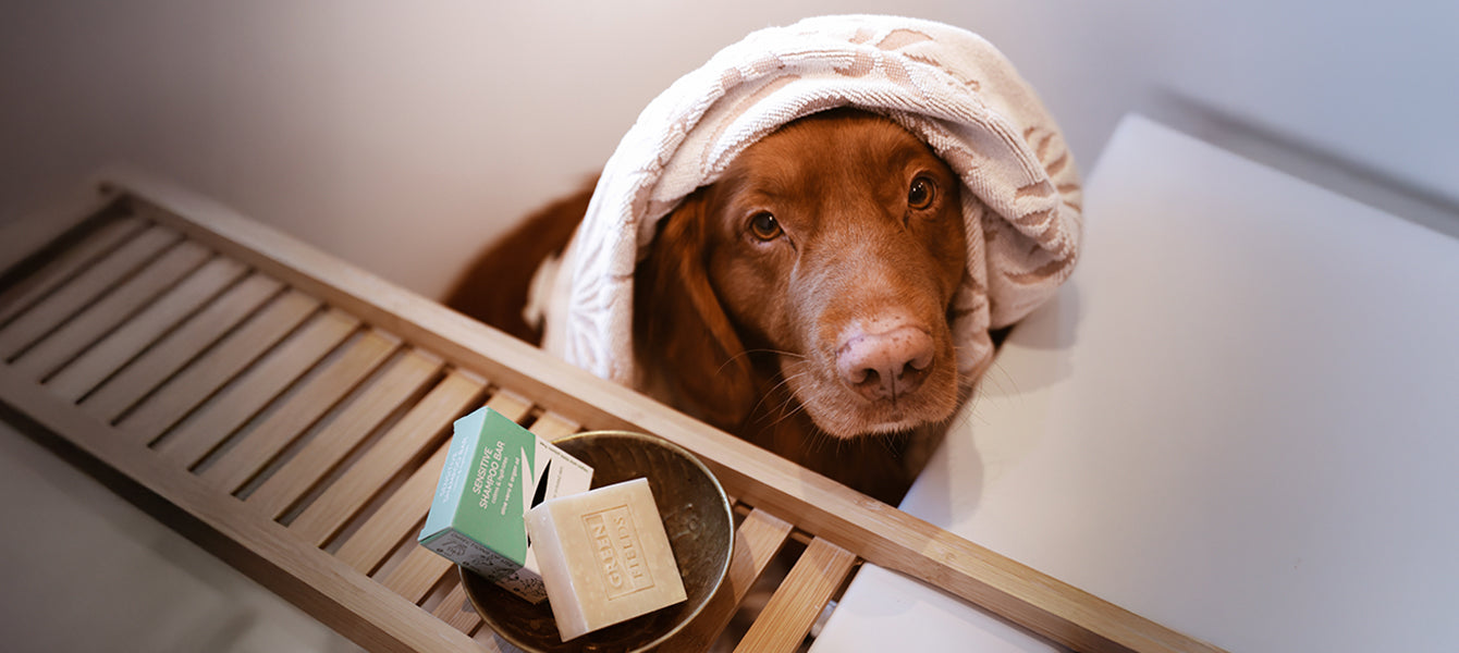Greenfields shampoo bar hond in bad