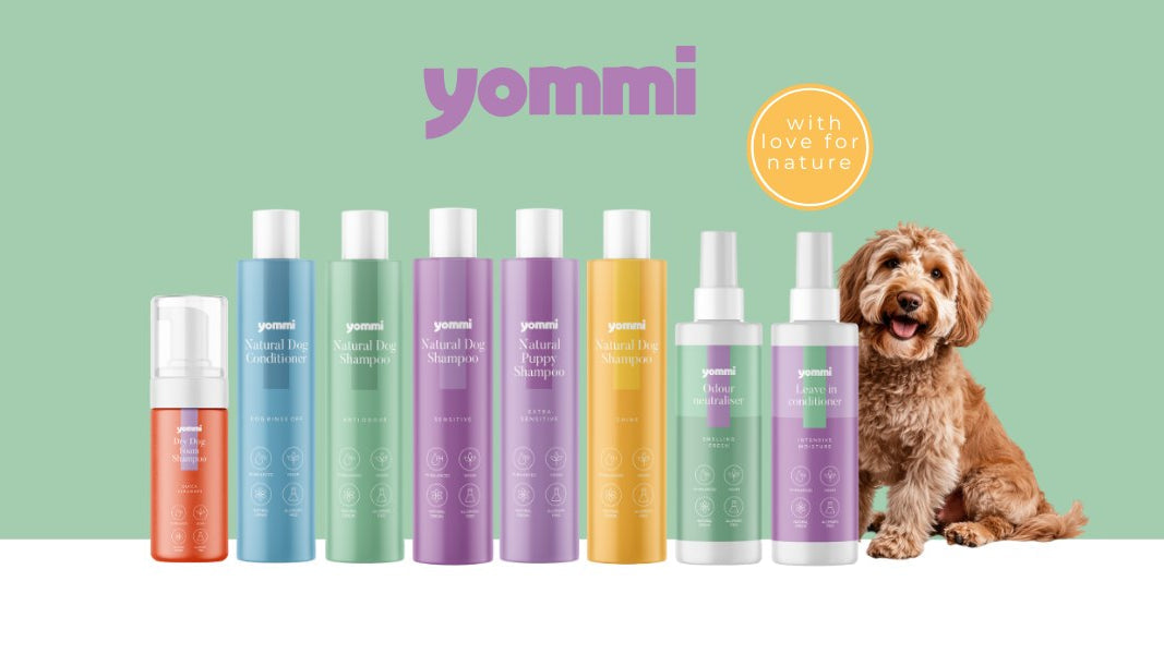 Yommi: Gezondheid van binnen én buiten voor hond