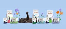 Almo nature functional food
