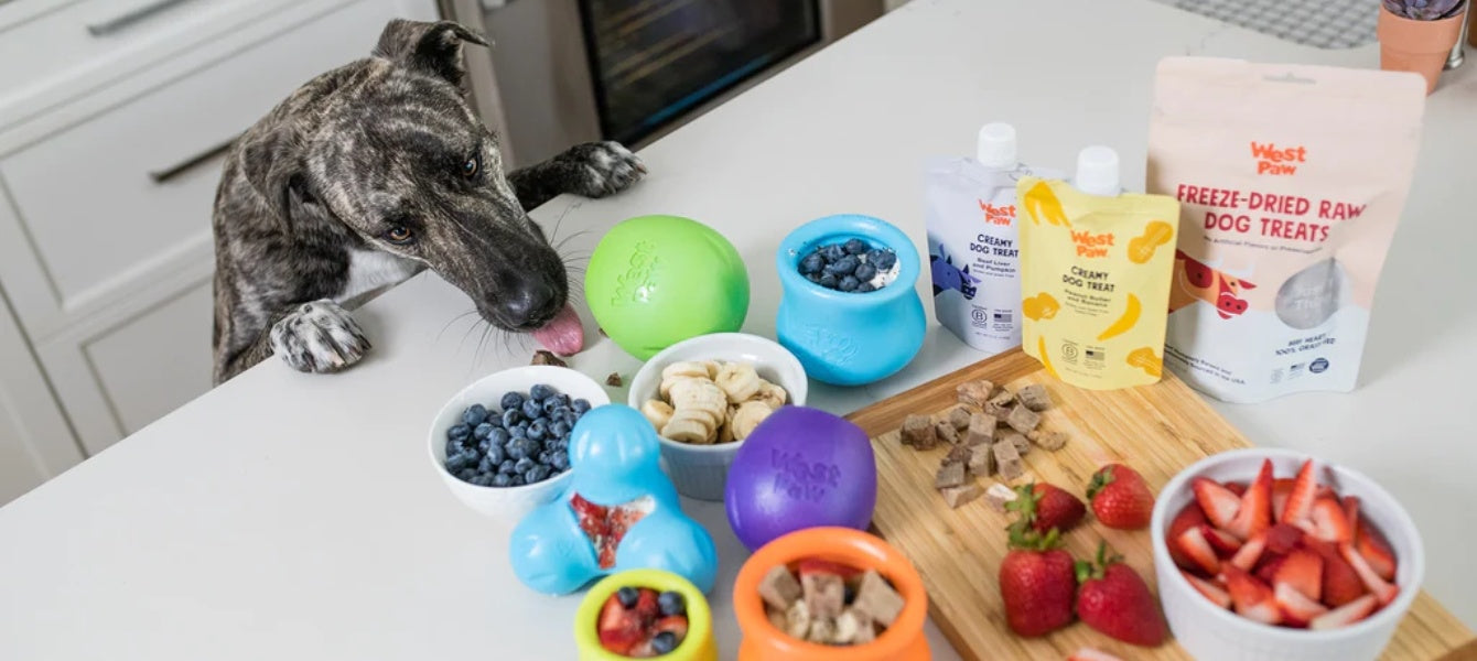 Hond aanrecht met WestPaw speelgoed