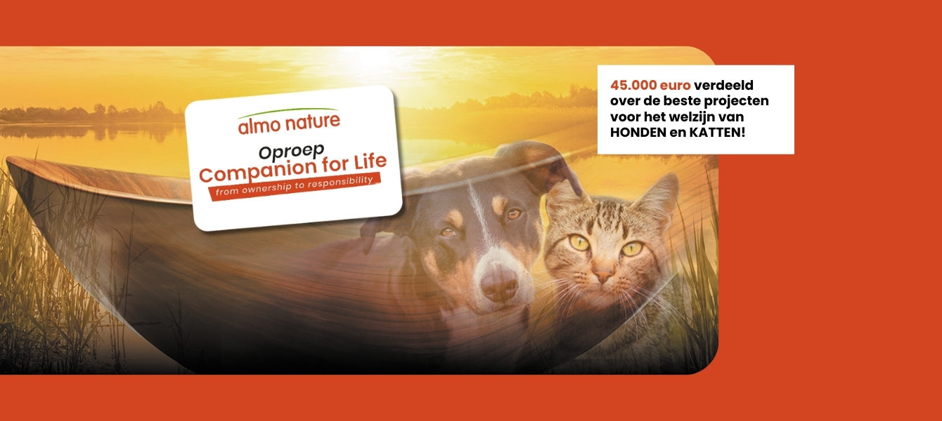 Samen maken we het verschil voor dieren in nood