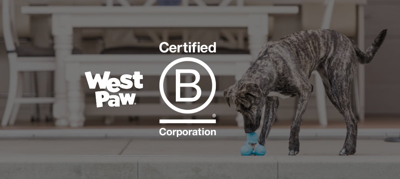 West Paw B-CORP 