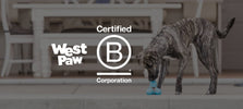 West Paw B-CORP 