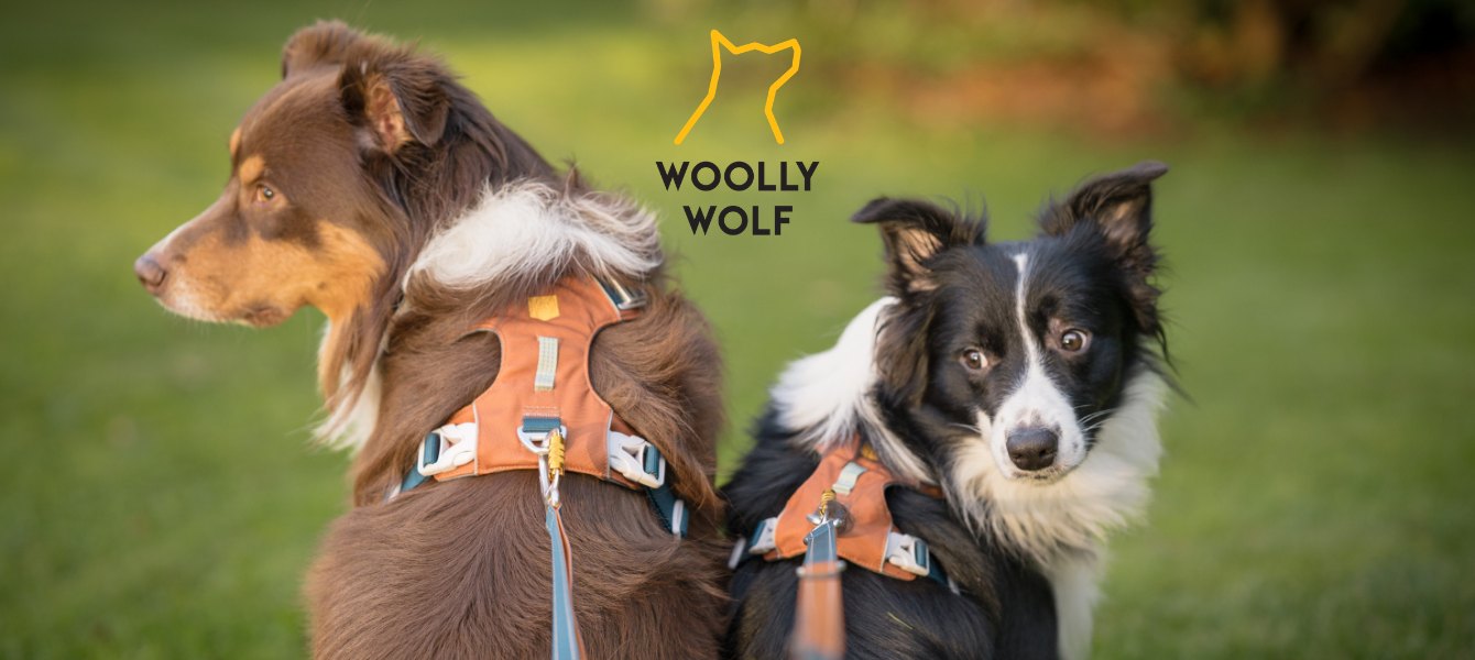 Warmako x Woolly Wolf: Samen sterk in duurzaam design