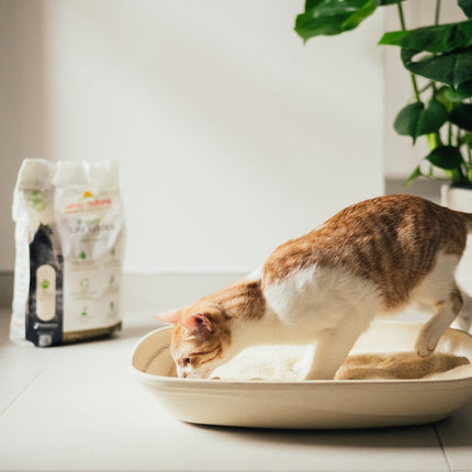 Collection image for: Almo Nature Cat Litter