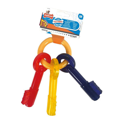 Collection image for: Nylabone Puppy Chew