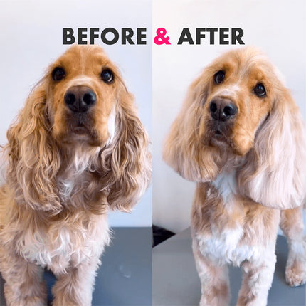 Pflegeshampoo für langes Fell