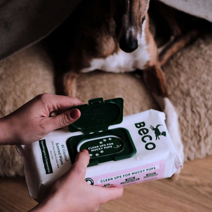 Bamboo Dog Wipes - Coconut Scented - 80 Pack
