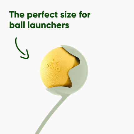 Fetch Ball