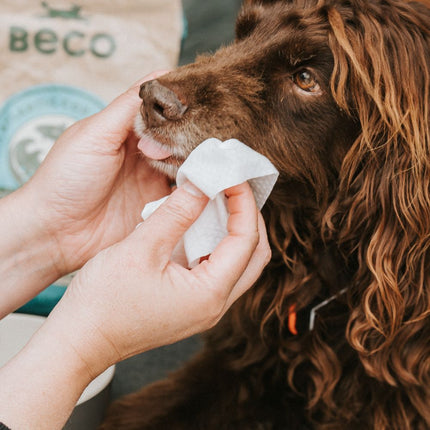 Bamboo Dog Wipes - Coconut Scented - 80 Pack