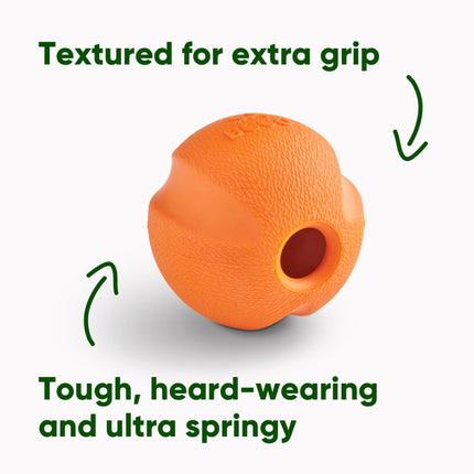 Fetch Ball