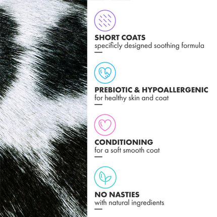 Short Coat Conditioning Shampoo