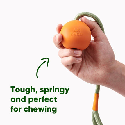 Slinger Ball