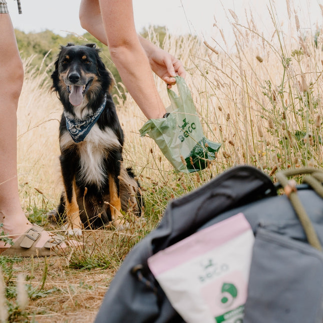 Poop Bags Recycled - Unscented - Handles on a roll (60)