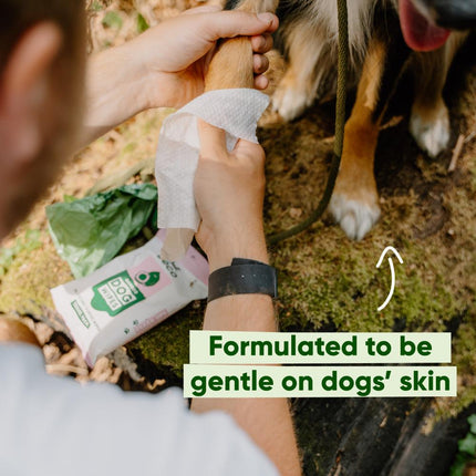 Travel Dog Wipes - Kokosnussduft – 6 Stück