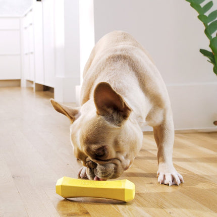 Squeaky Chew Stick