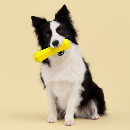 Squeaky Chew Stick