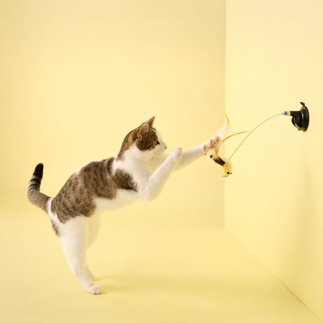 Suction Cup Spring Bird