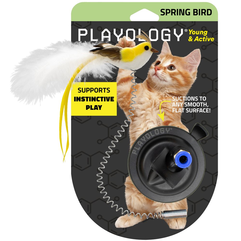 Toy Bird Spring Suction Cup Spring Bird – Warmako