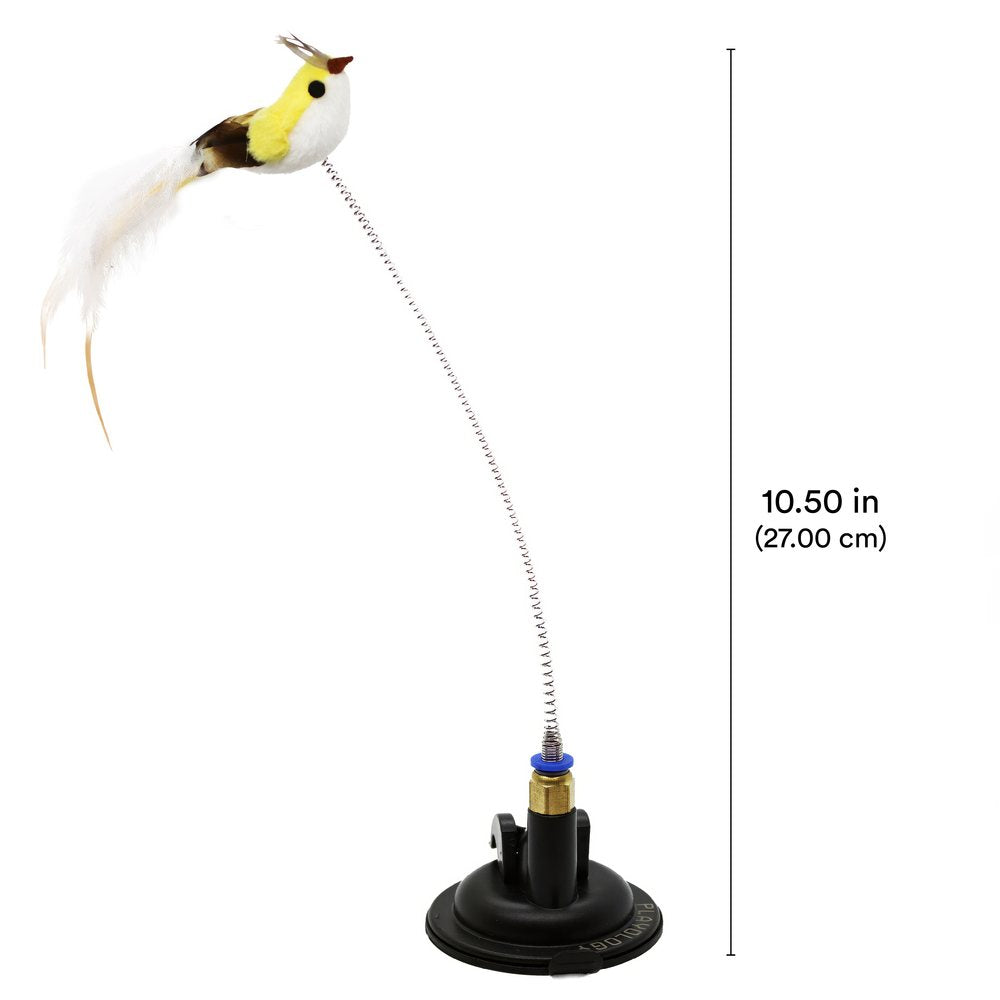Toy Bird Spring Suction Cup Spring Bird – Warmako