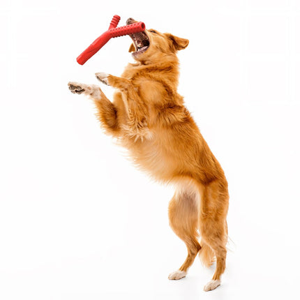 Fetch Stick - Large