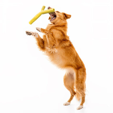 Fetch Stick - Large