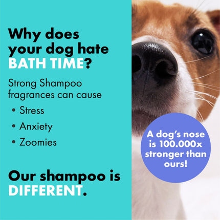 Short Coat Conditioning Shampoo