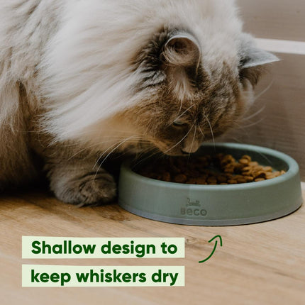 Steady Katzennapf