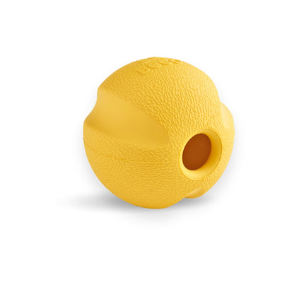 Fetch Ball