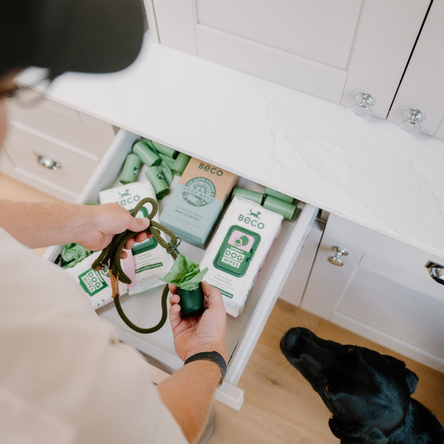 Kotbeutel Recycelt - Minzduft - Vorteilspackung (270)