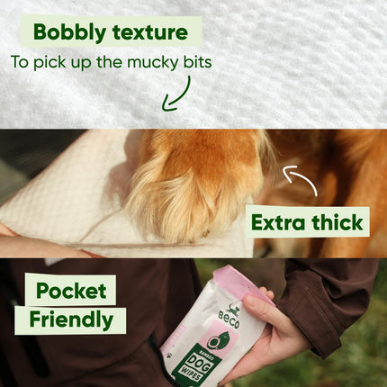 Travel Dog Wipes - Kokosnussduft – 6 Stück