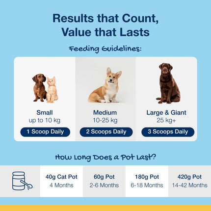 PlaqueOff Poeder voor Katten