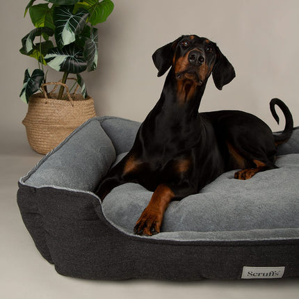 Harvard Orthopedisch Box Bed