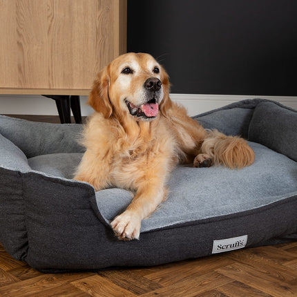 Harvard Orthopedisch Box Bed