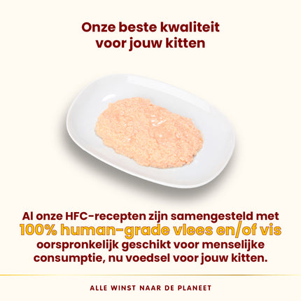 HFC Wet Food Cat - Kitten - Can - 24 x 70g