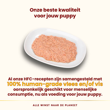 HFC Nassfutter Hund - Welpe - Dose - 12 x 280g