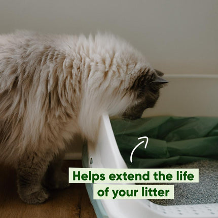 Cat Poop Bags - Scented with Handles (60)