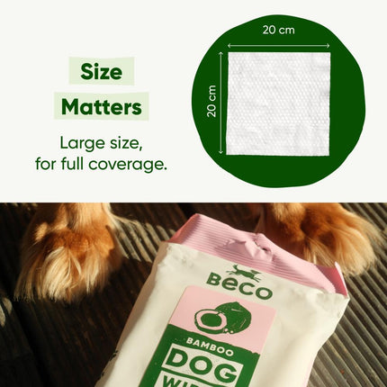 Travel Dog Wipes - Kokosnussduft – 6 Stück