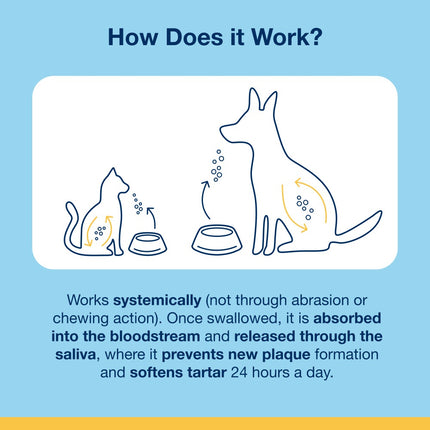 PlaqueOff Poeder voor Katten