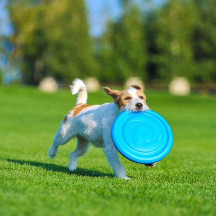 PitchDog Disk