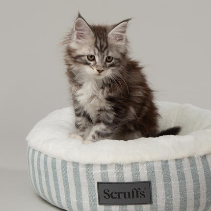 Coastal Cat Bed